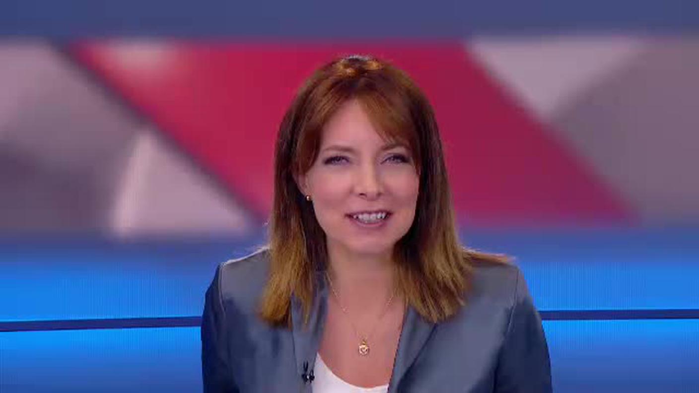  TELEGIORNALE  [La1] 2017-06-28 20:00:00