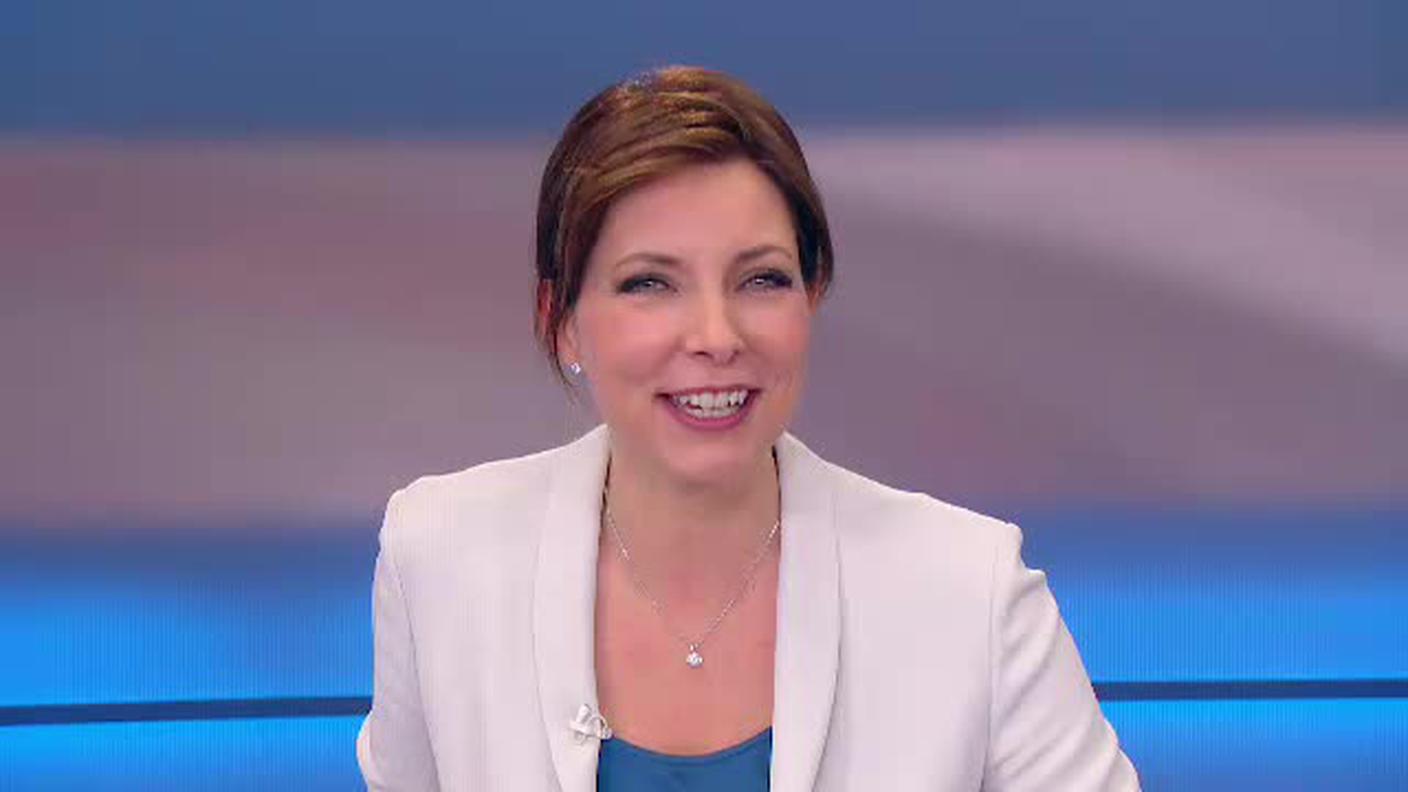  TELEGIORNALE  [La1] 2017-07-02 20:00:11