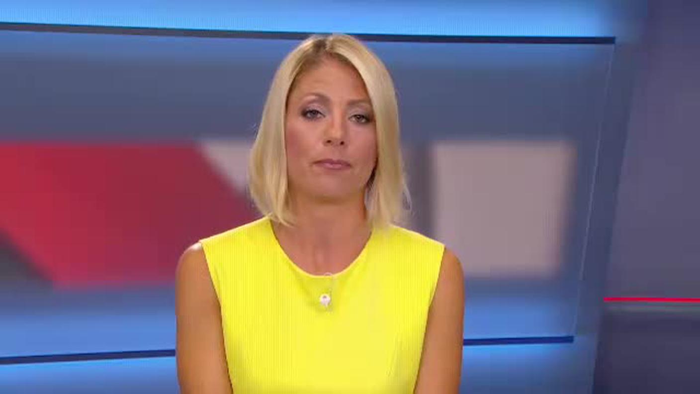  TELEGIORNALE  [La1] 2017-07-07 20:00:00