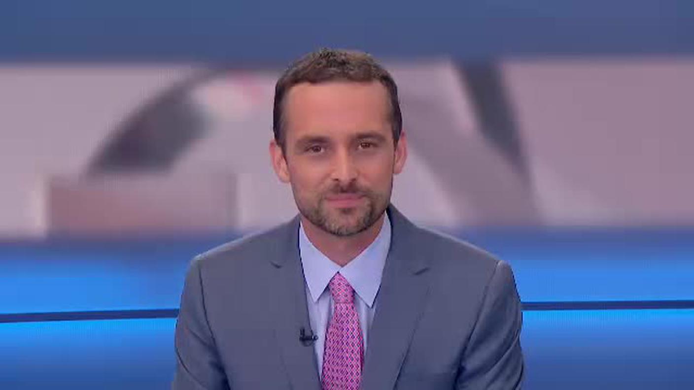  TELEGIORNALE  [La1] 2017-07-17 20:00:00