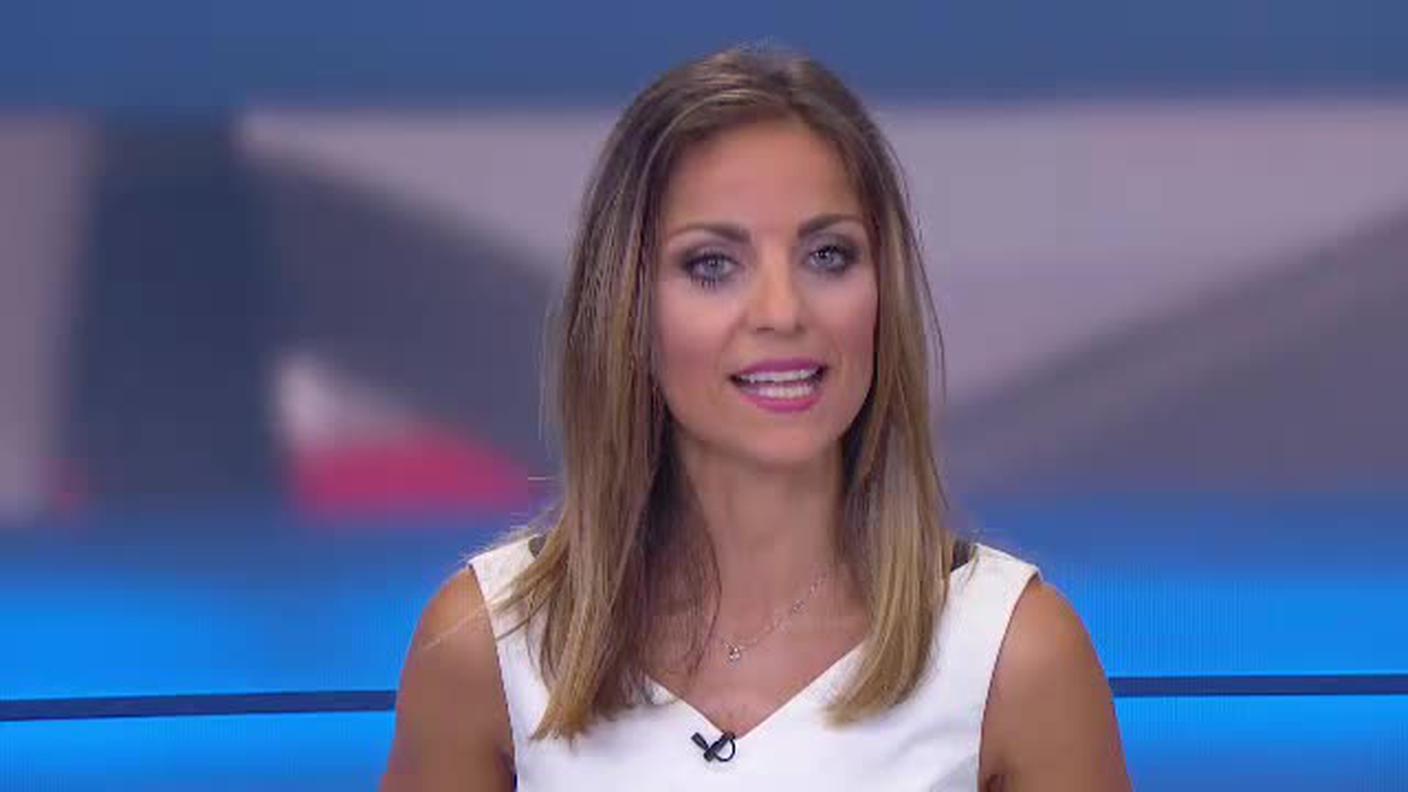  TELEGIORNALE  [La1] 2017-07-21 20:00:00