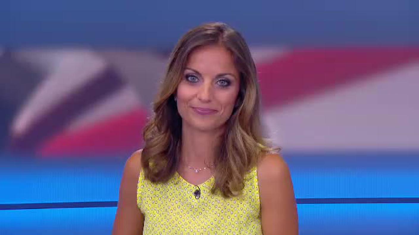  TELEGIORNALE  [La1] 2017-07-23 20:00:00