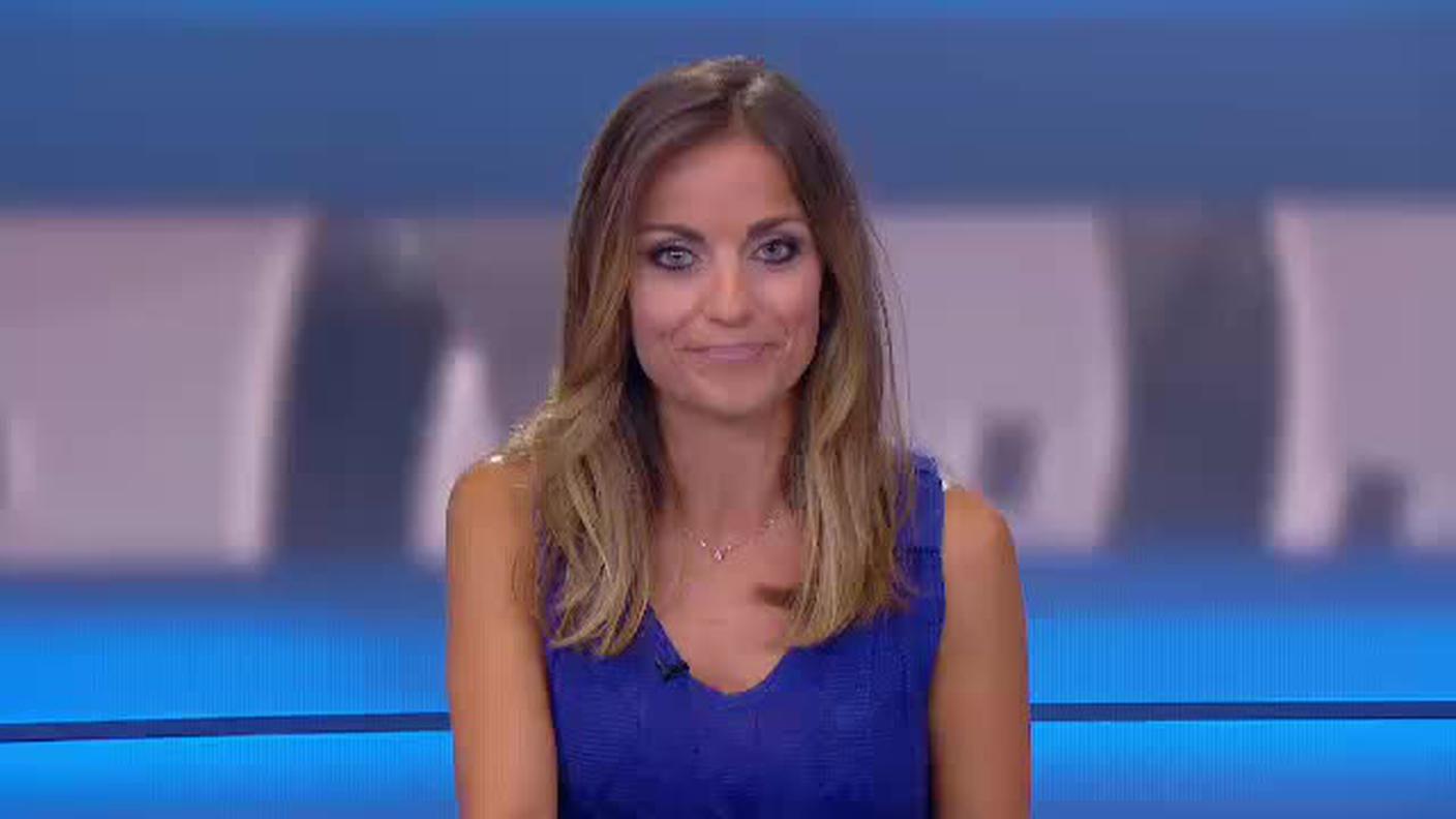  TELEGIORNALE  [La1] 2017-07-24 20:00:11