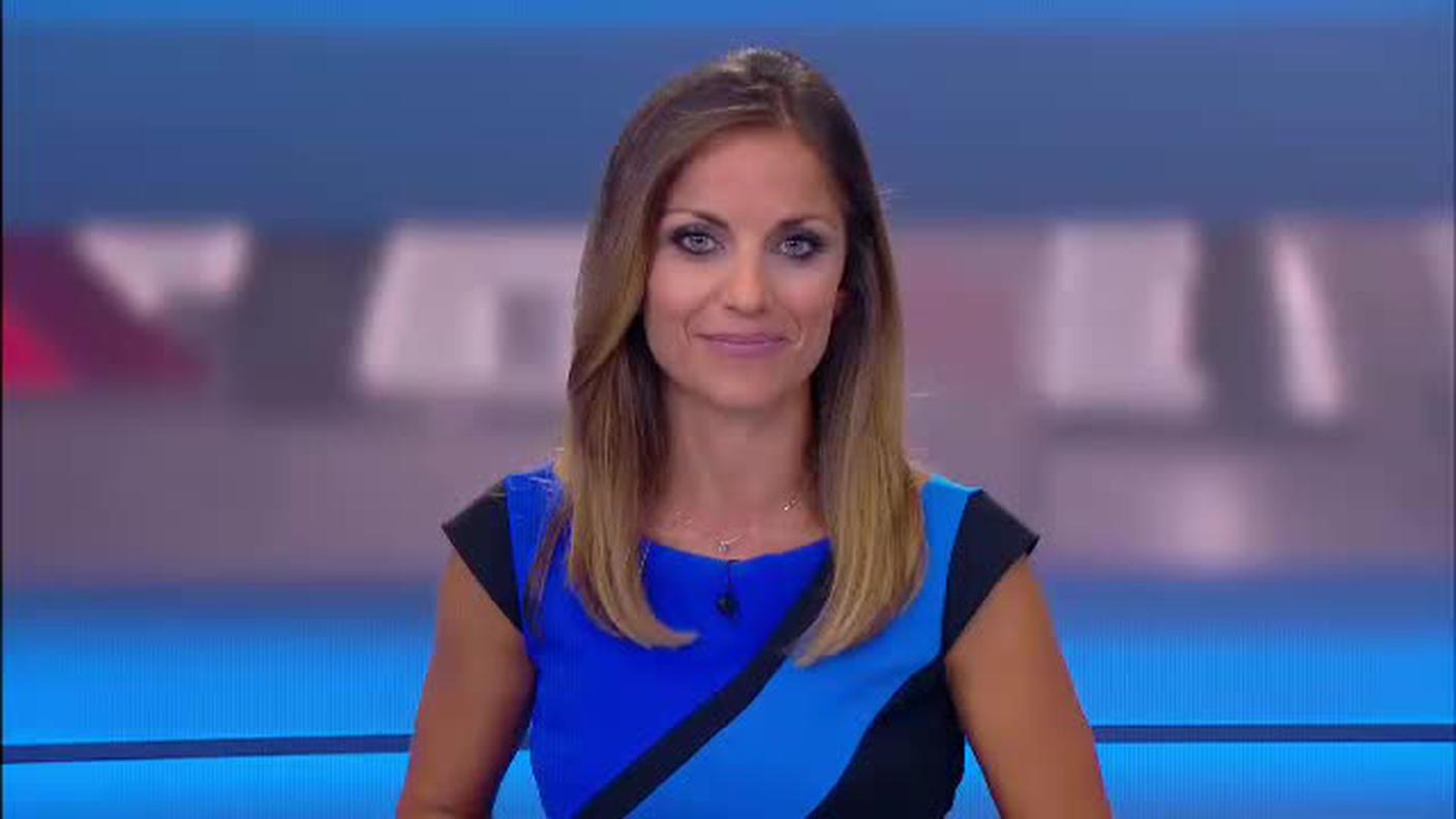  TELEGIORNALE  [La1] 2017-08-26 20:00:00