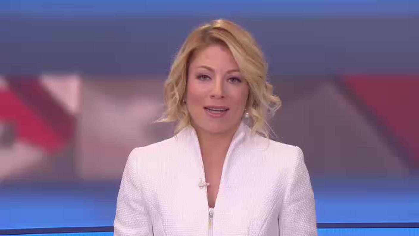  TELEGIORNALE  [La1] 2017-10-13 20:00:11