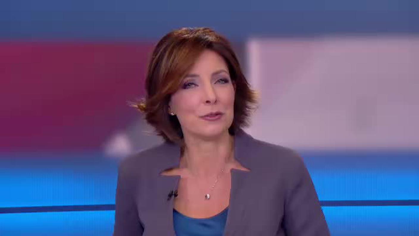  TELEGIORNALE  [La1] 2017-10-18 20:00:11