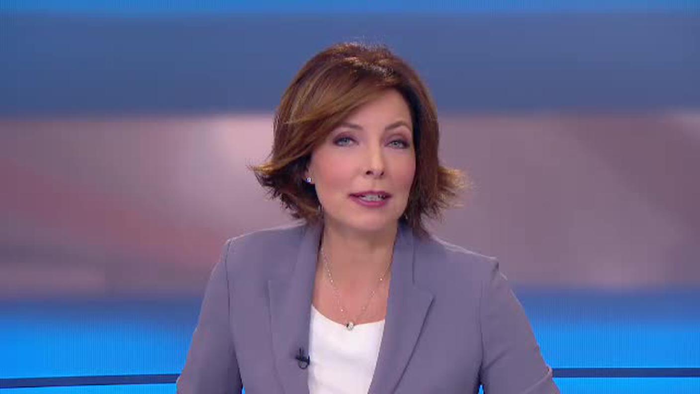  TELEGIORNALE  [La1] 2017-10-19 20:00:11