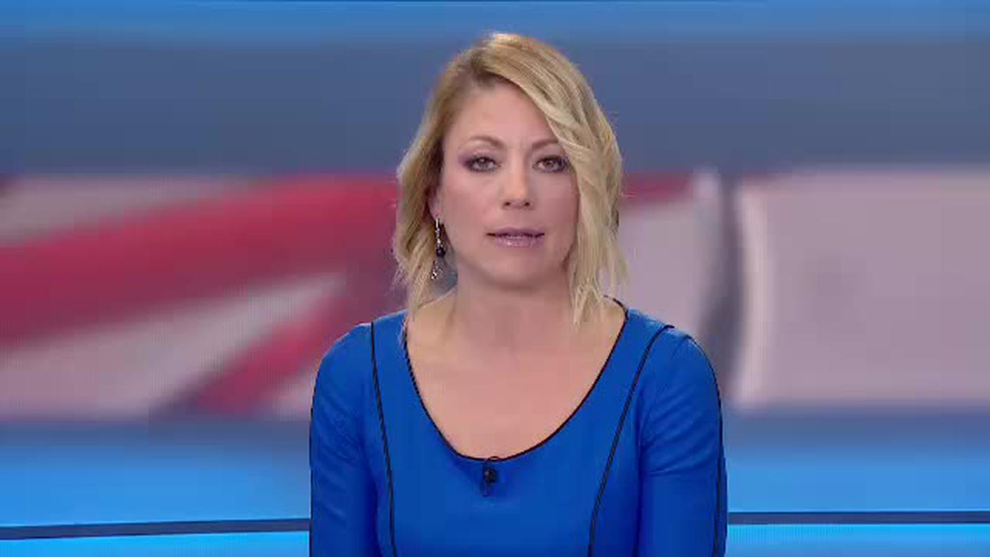  TELEGIORNALE  [La1] 2017-10-29 20:00:00