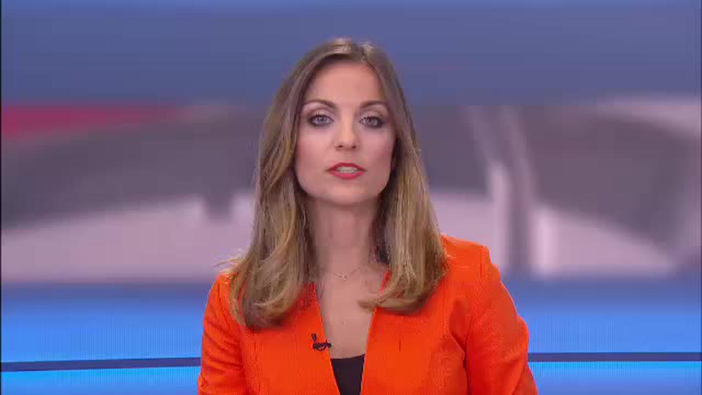  TELEGIORNALE  [La1] 2017-10-31 20:00:00