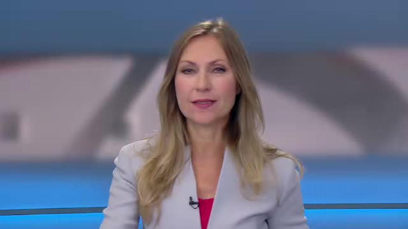  TELEGIORNALE 12:30  [La1] 2017-11-04 12:30:00