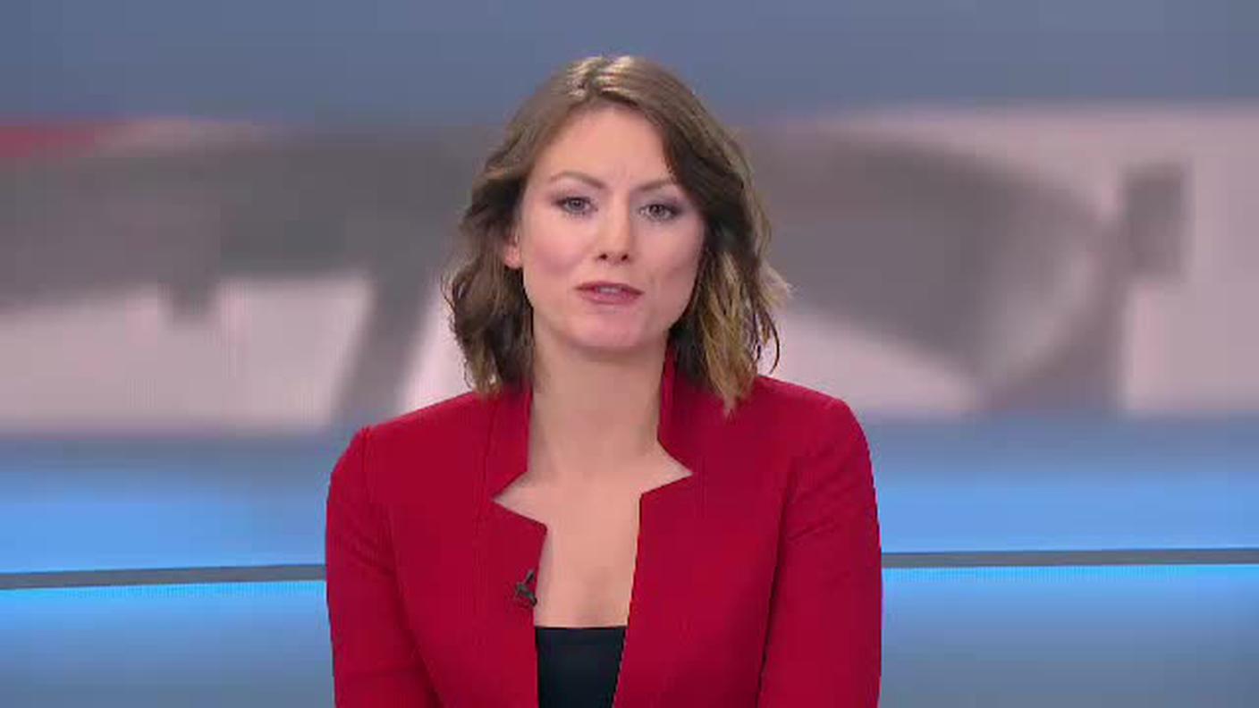  TELEGIORNALE 12:30  [La1] 2017-11-06 12:30:00