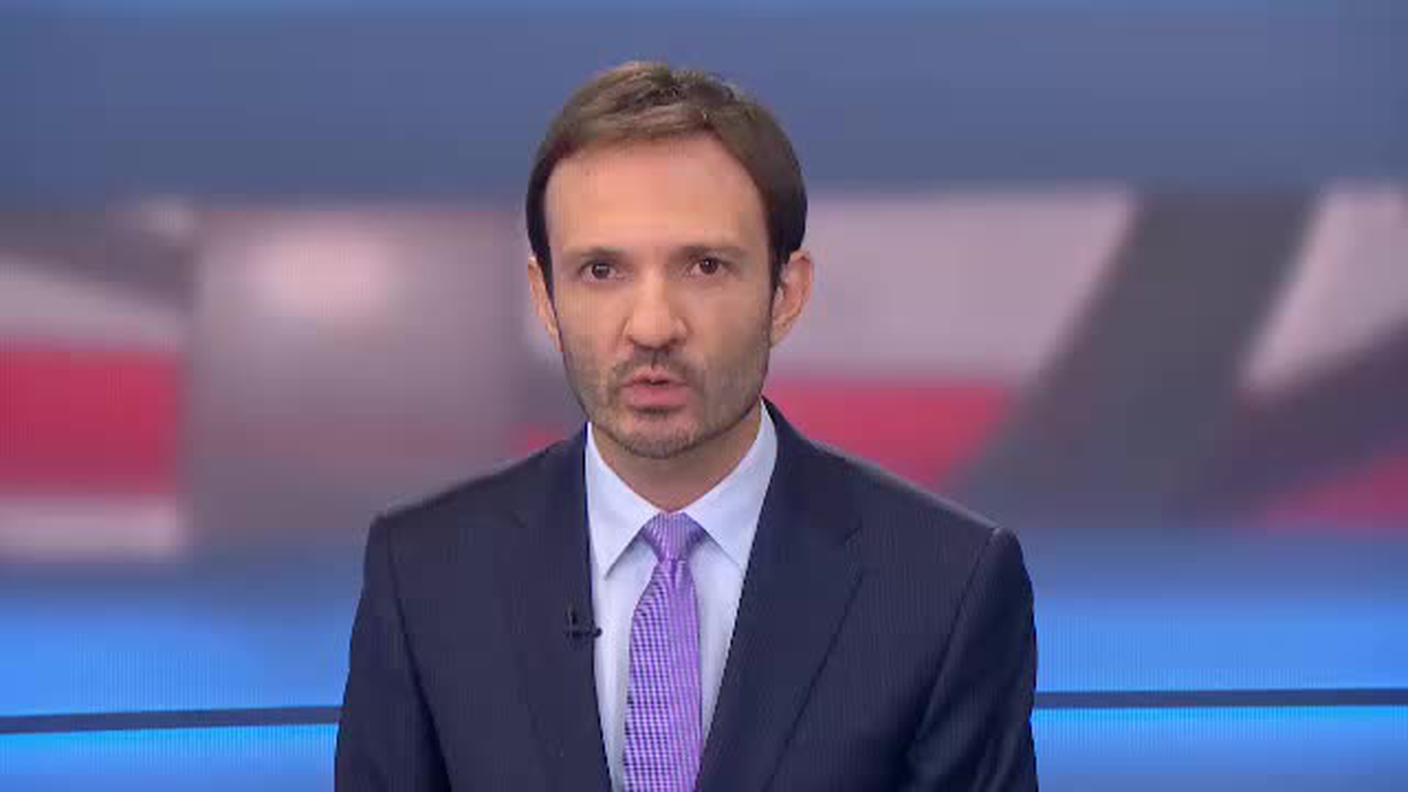  TELEGIORNALE 12:30  [La1] 2017-11-08 12:30:00