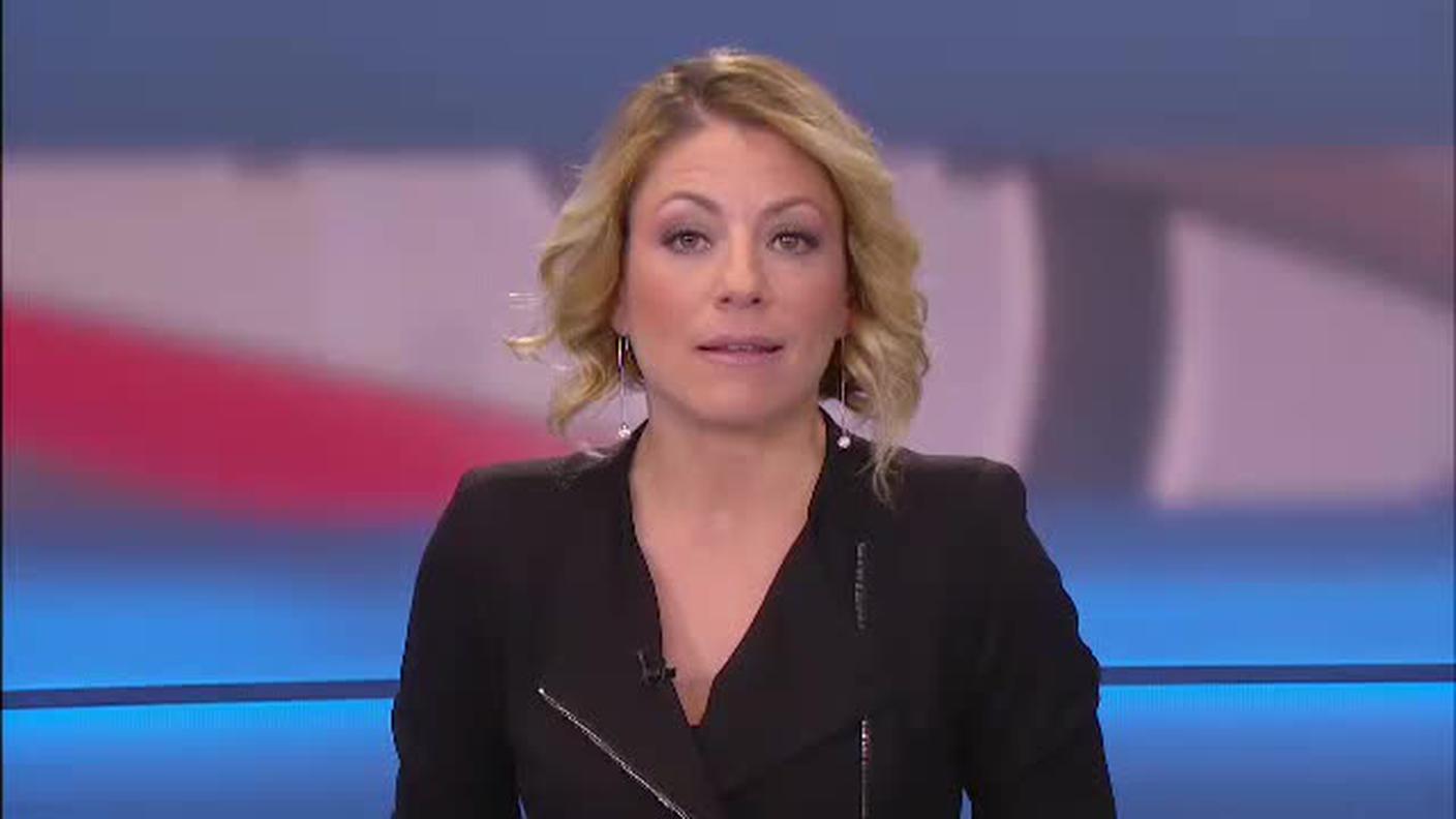  TELEGIORNALE  [La1] 2017-11-13 20:00:11