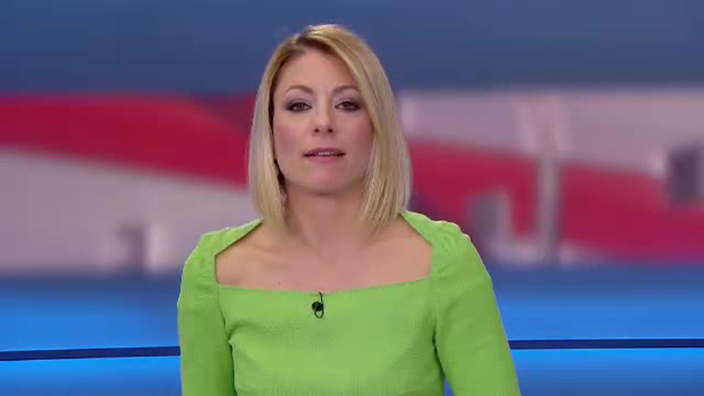  TELEGIORNALE  [La1] 2017-11-14 20:00:11