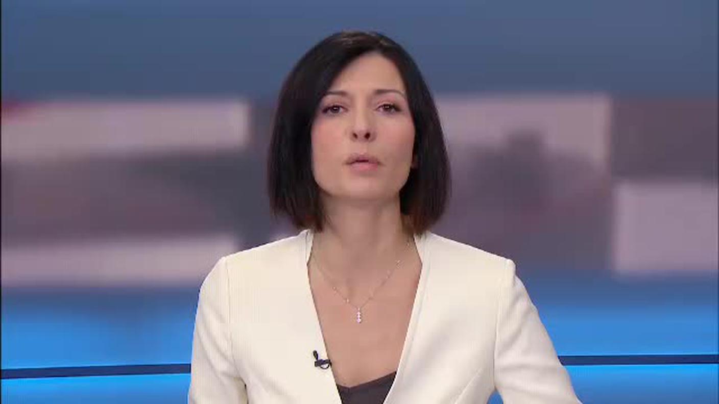 TELEGIORNALE  [La1] 2017-11-20 20:00:11