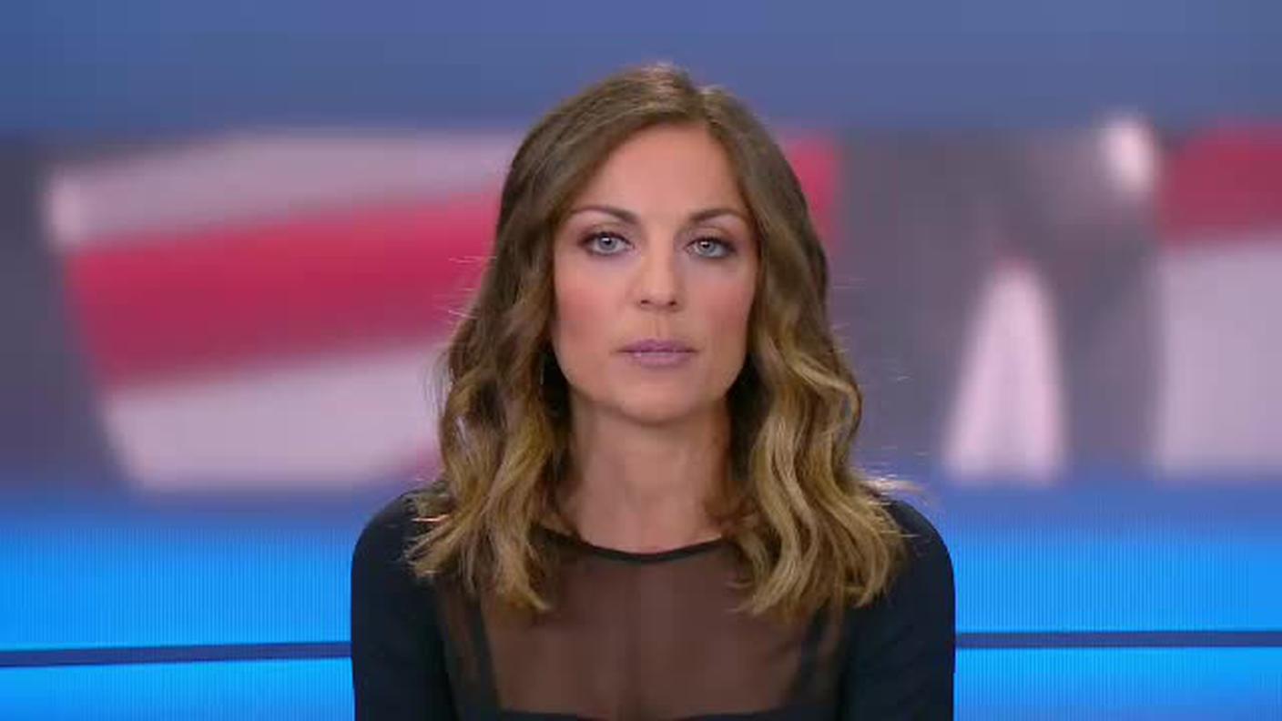 TELEGIORNALE  [La1] 2018-04-04 20:00:11