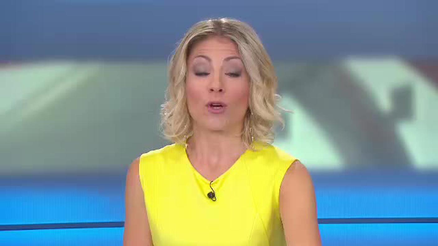 TELEGIORNALE  [La1] 2018-06-16 20:00:11