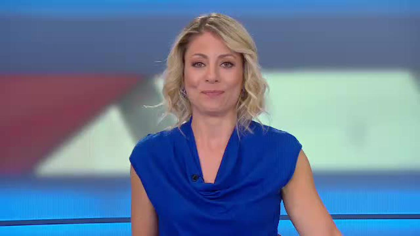 TELEGIORNALE  [La1] 2018-06-17 20:00:11