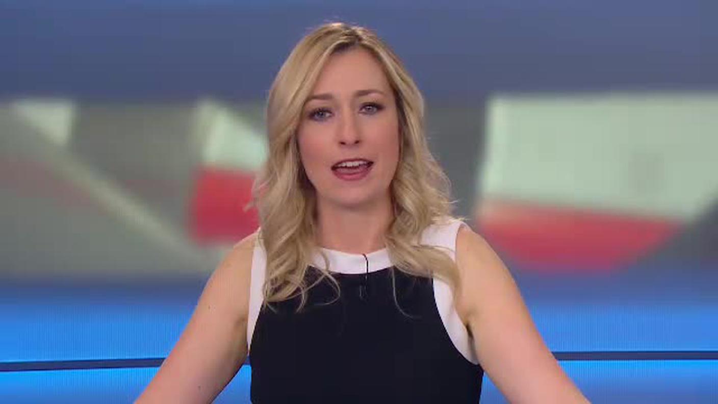 TELEGIORNALE 12:30  [La1] 2018-06-19 12:30:00