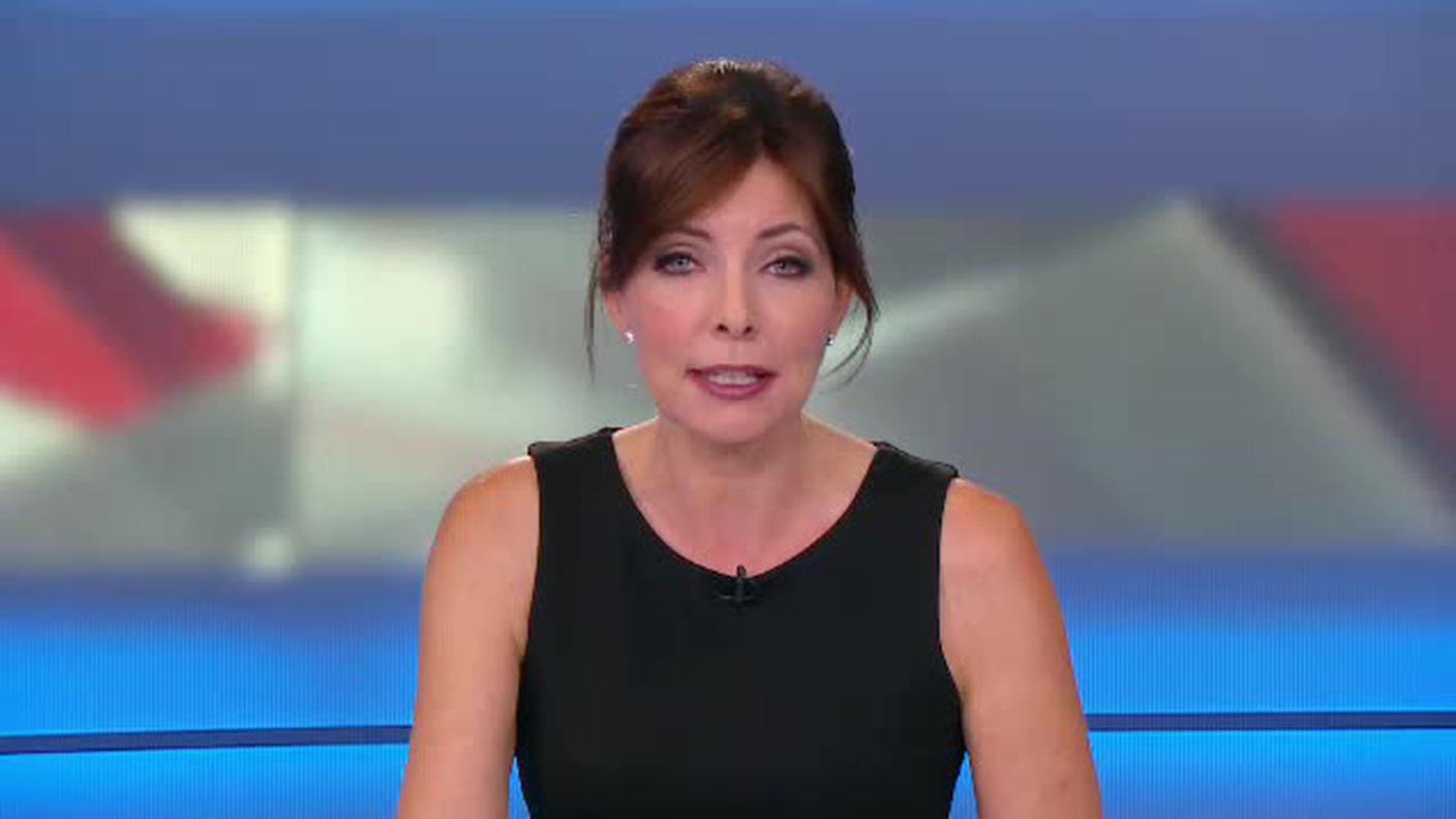 TELEGIORNALE  [La1] 2018-06-23 20:00:11