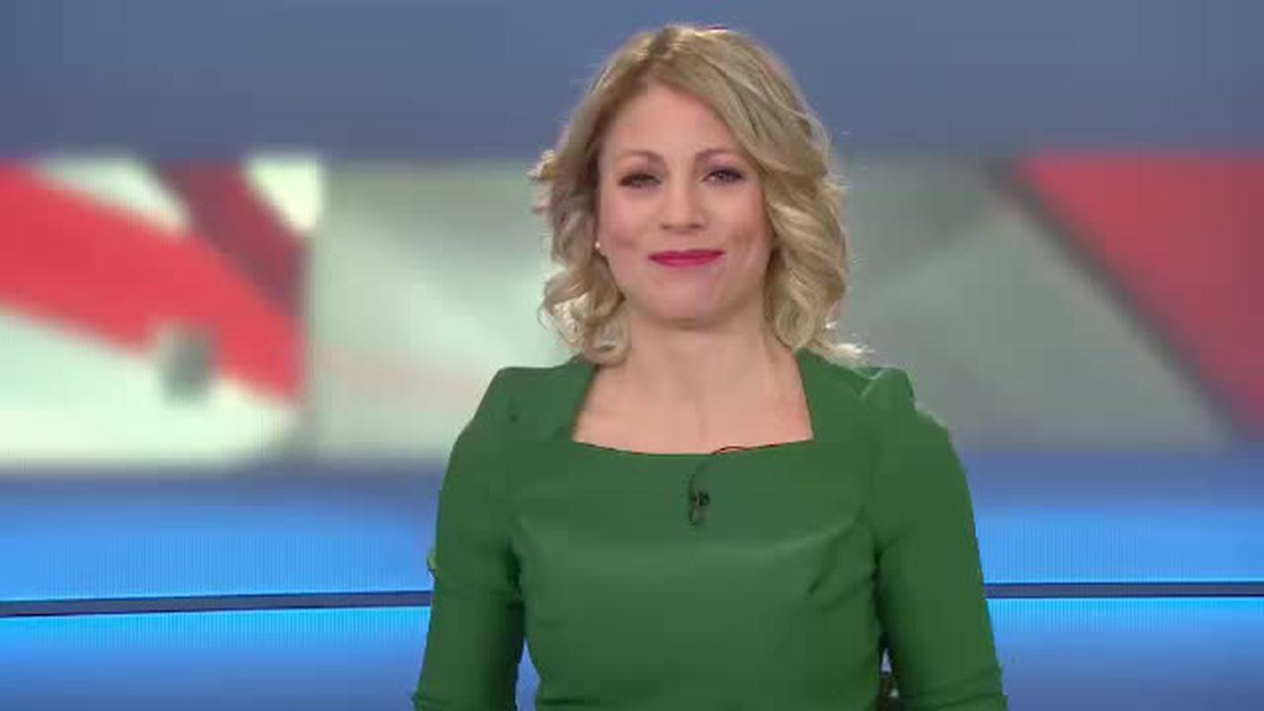 TELEGIORNALE  [La1] 2018-12-06 20:00:11