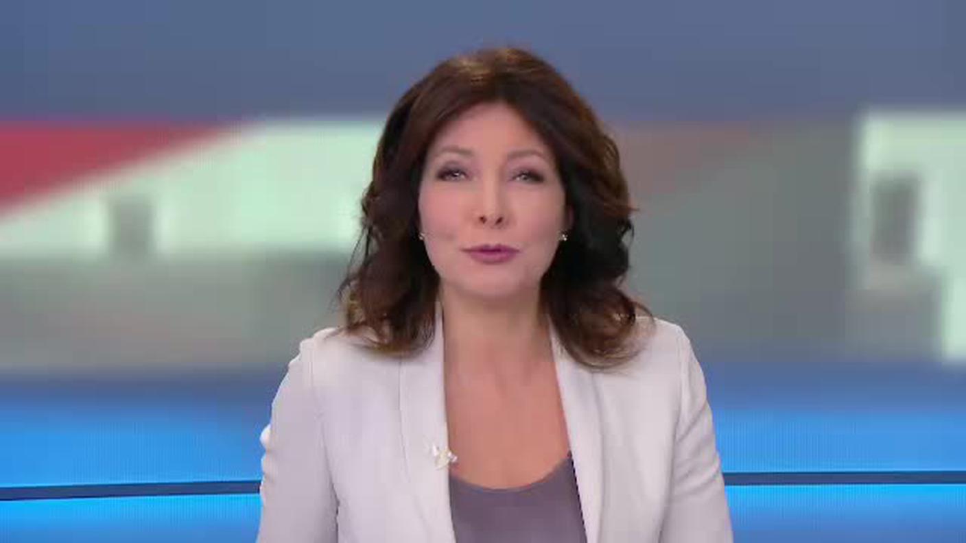 TELEGIORNALE  [La1] 2018-12-08 20:00:11