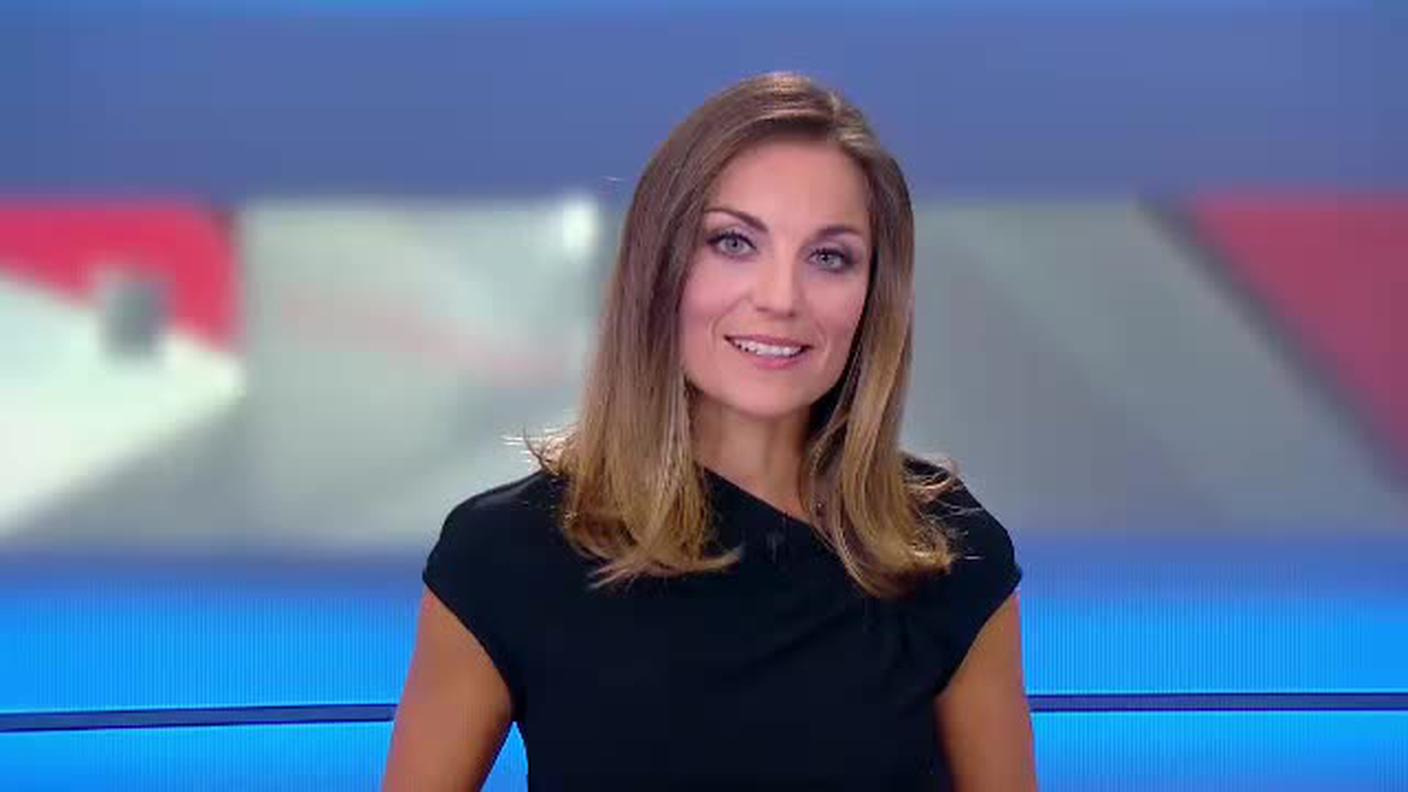 TELEGIORNALE  [La1] 2018-12-29 20:00:11