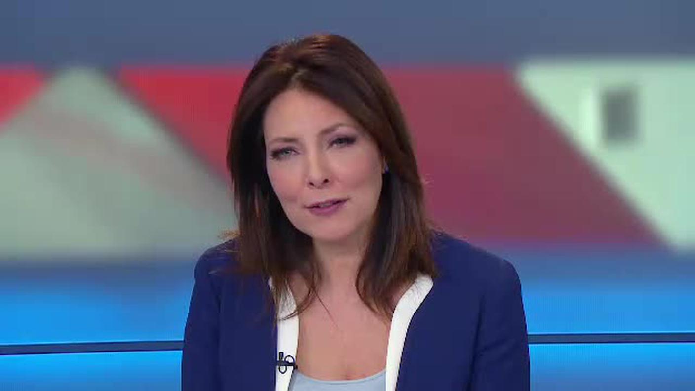 TELEGIORNALE  [La1] 2019-01-04 20:00:11