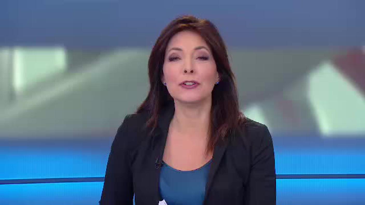 TELEGIORNALE  [La1] 2019-01-06 20:00:11