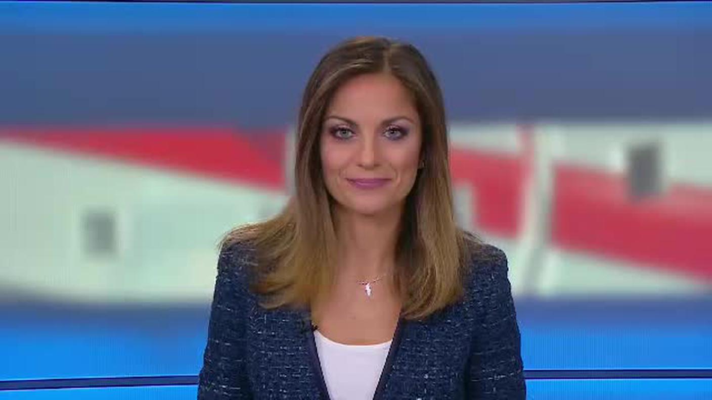 TELEGIORNALE  [La1] 2019-01-19 20:00:11