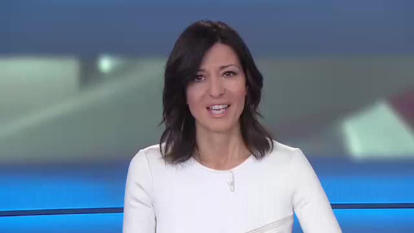 TELEGIORNALE  [La1] 2019-01-27 20:00:11