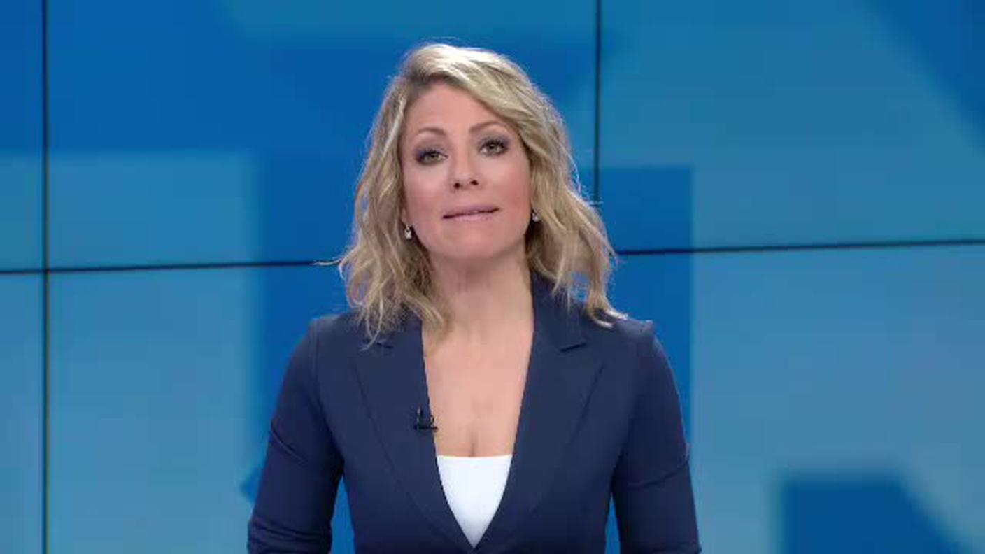 TELEGIORNALE  [La1] 2019-02-01 20:00:11
