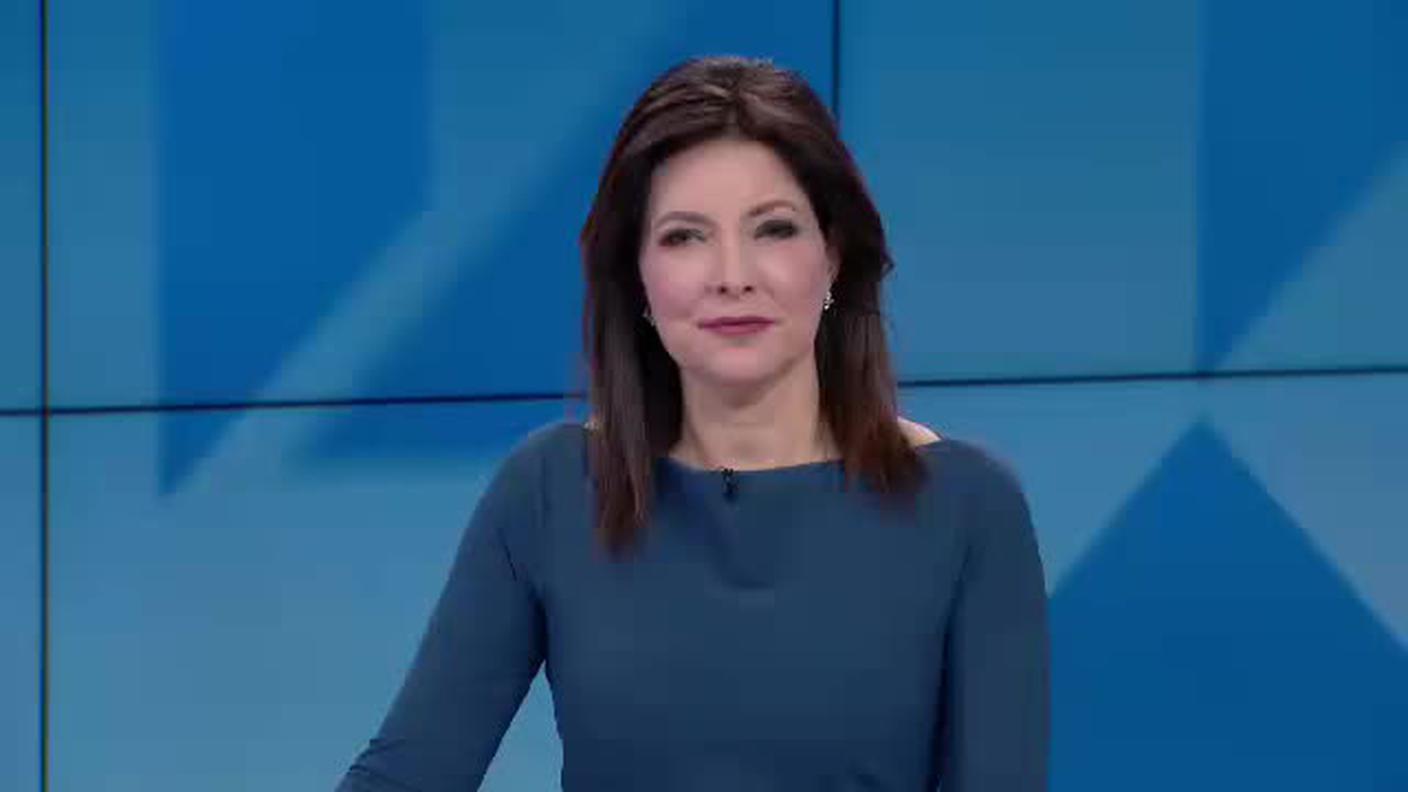 TELEGIORNALE  [La1] 2019-02-05 20:00:11