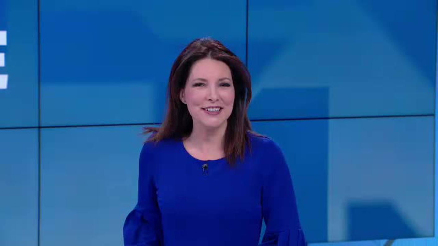 TELEGIORNALE  [La1] 2019-02-06 20:00:11