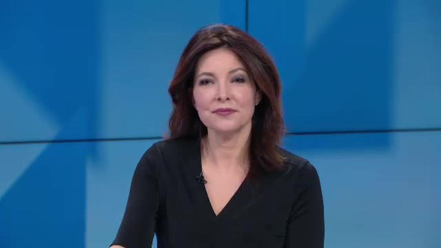 TELEGIORNALE  [La1] 2019-02-07 20:00:11