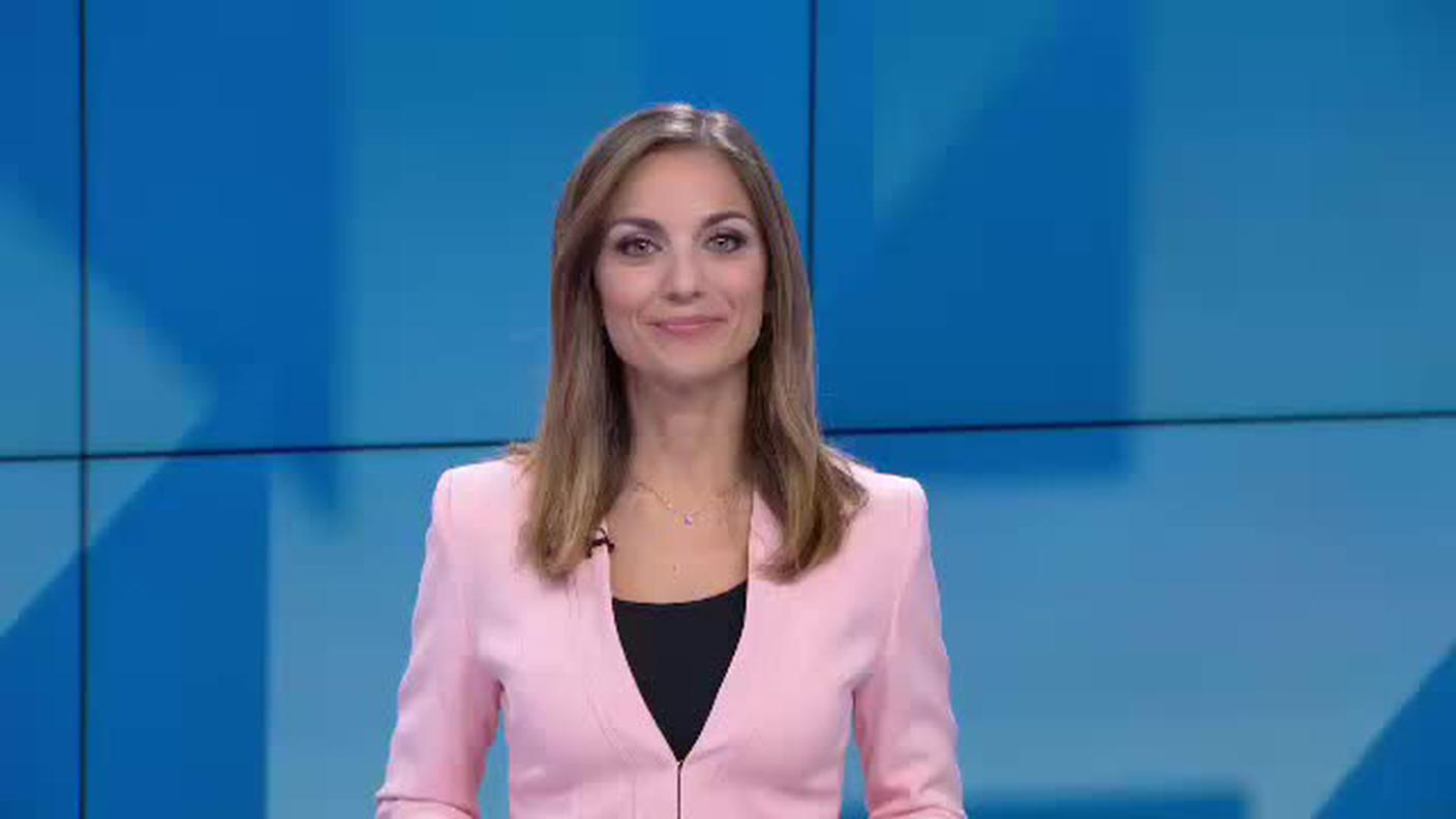 TELEGIORNALE  [La1] 2019-02-13 20:00:11