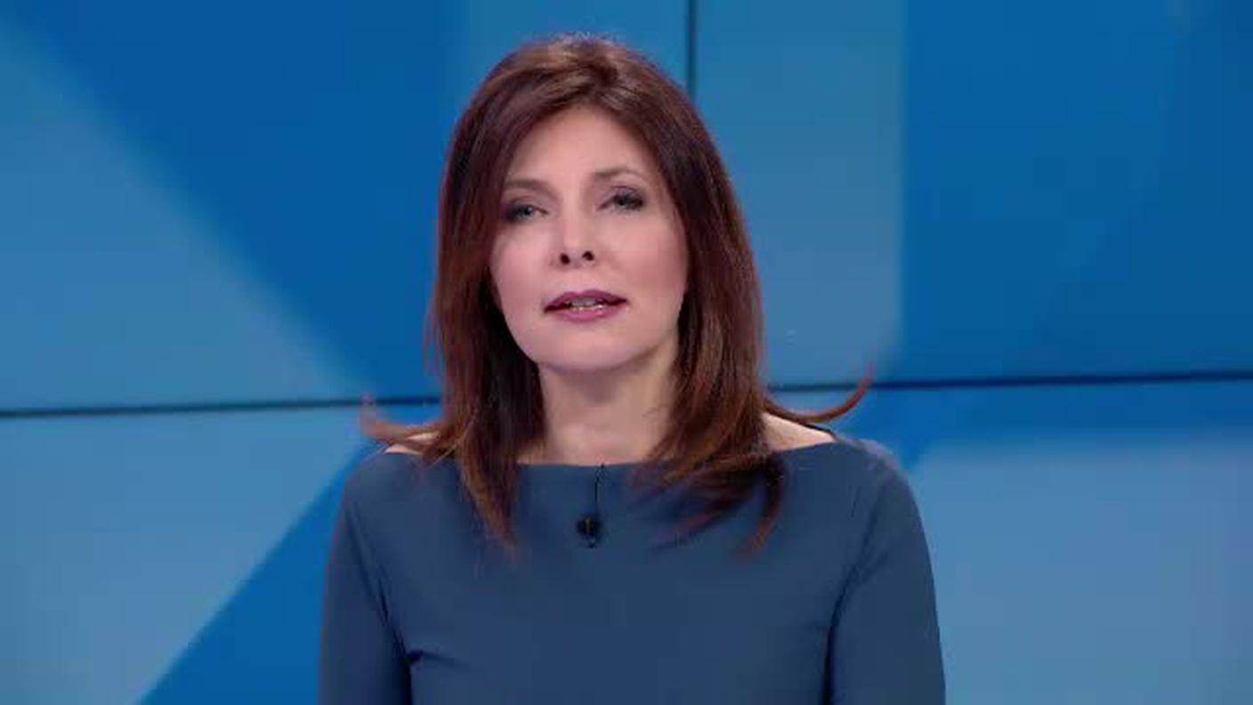 TELEGIORNALE  [La1] 2019-03-17 20:00:11