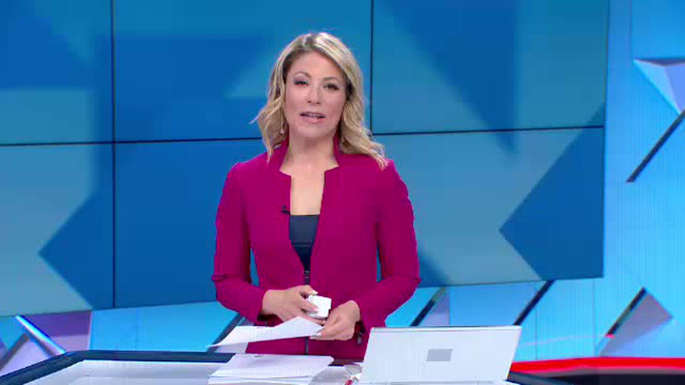 TELEGIORNALE  [La1] 2019-03-29 20:00:11