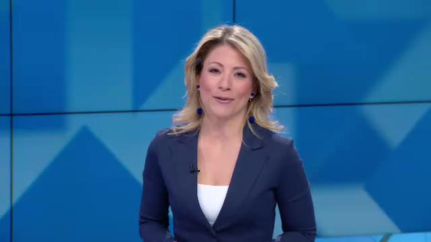 TELEGIORNALE  [La1] 2019-03-30 20:00:11