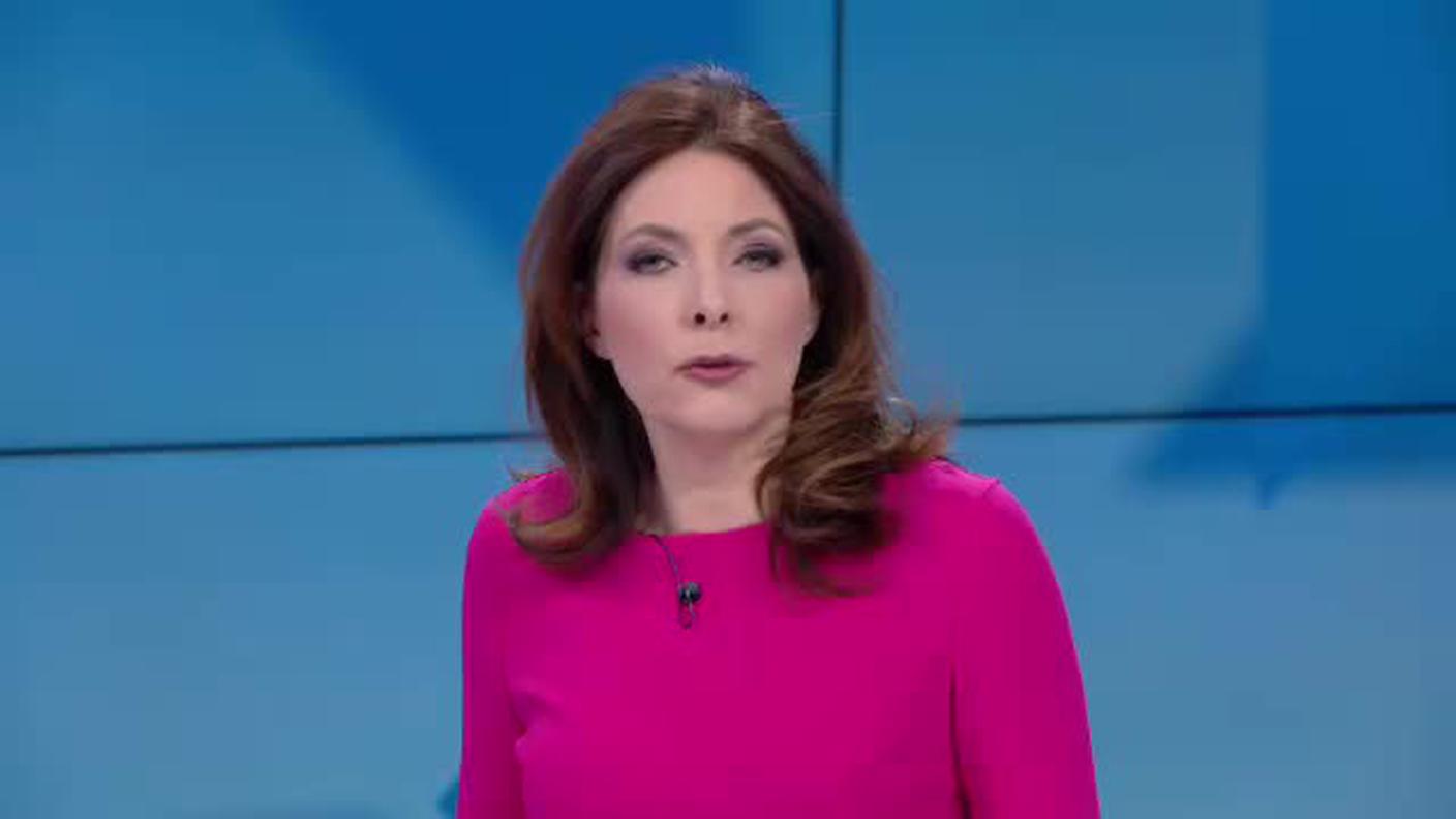 TELEGIORNALE  [La1] 2019-04-01 20:00:11
