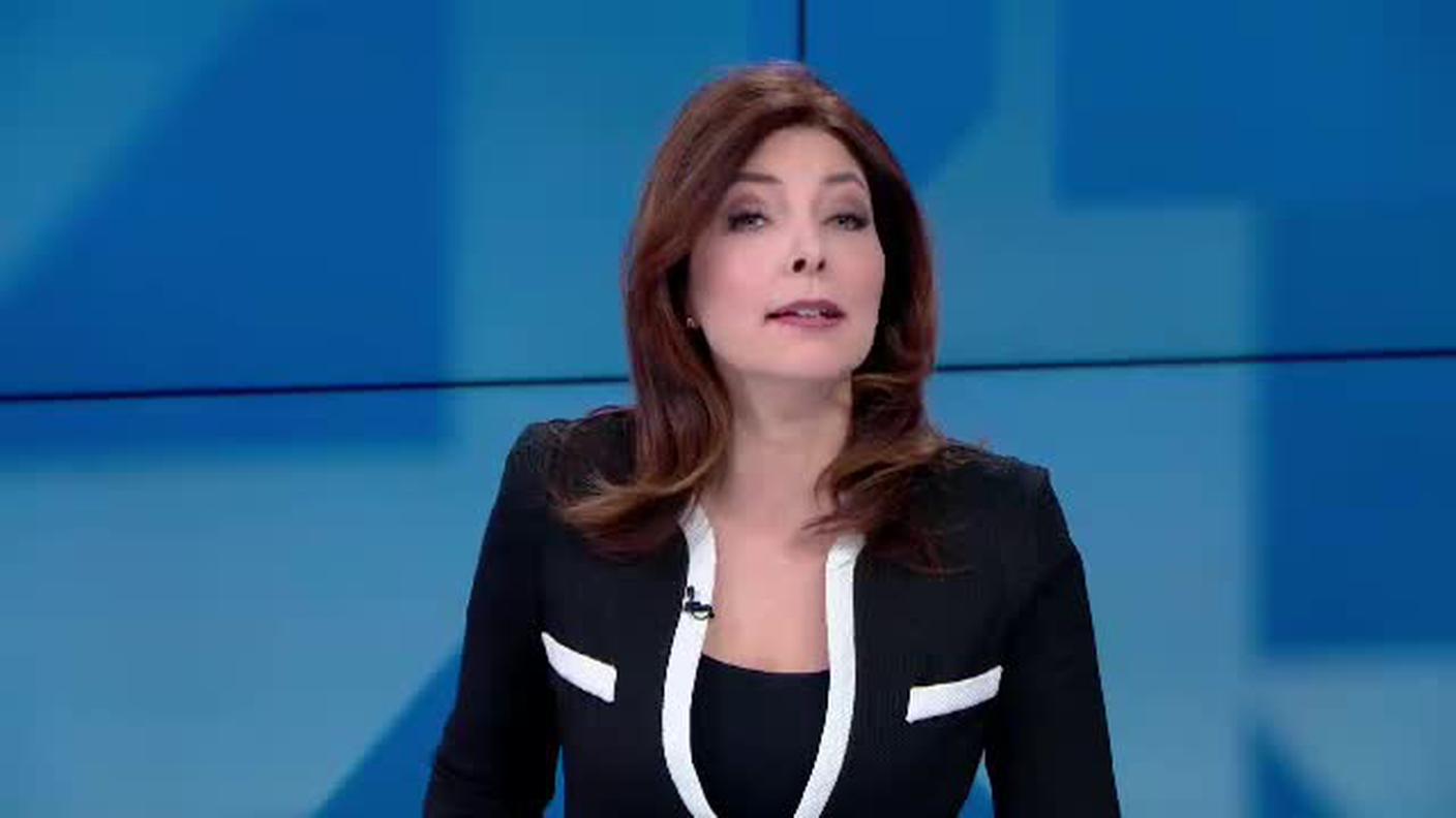TELEGIORNALE  [La1] 2019-04-02 20:00:11