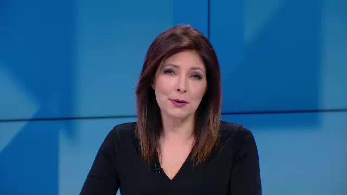 TELEGIORNALE  [La1] 2019-04-04 20:00:11