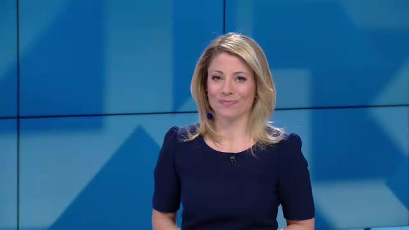 TELEGIORNALE  [La1] 2019-04-20 20:00:11