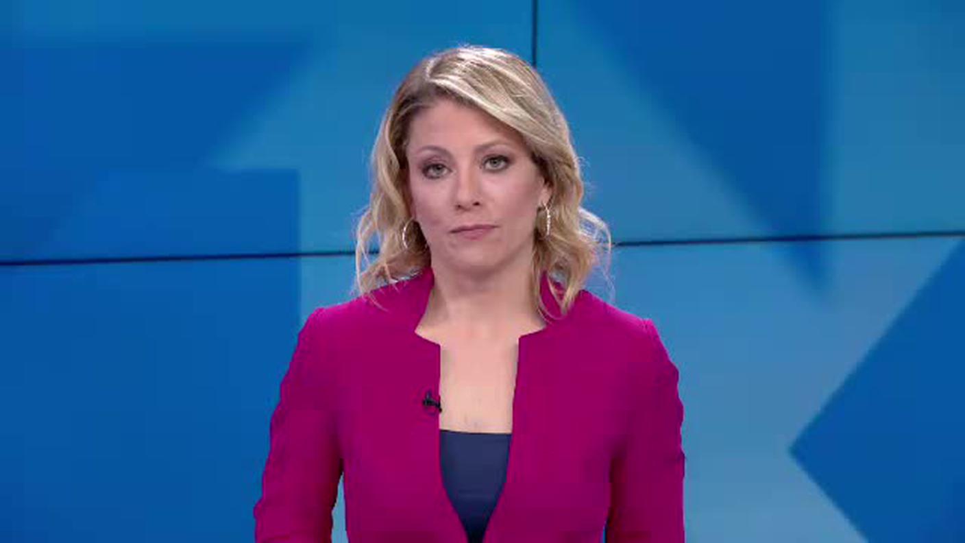 TELEGIORNALE  [La1] 2019-05-10 20:00:11