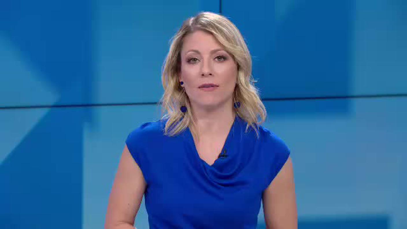 TELEGIORNALE  [La1] 2019-06-03 20:00:11