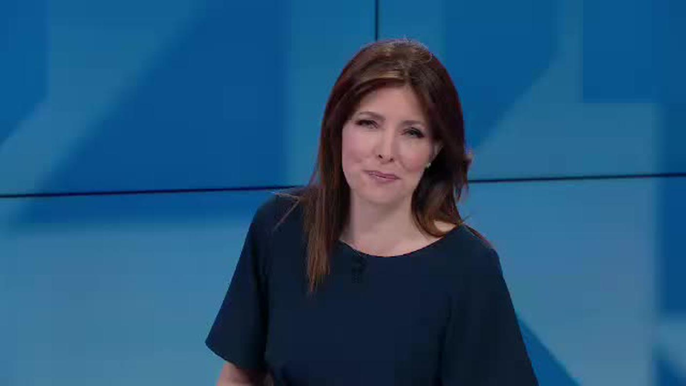 TELEGIORNALE  [La1] 2019-06-06 20:00:11