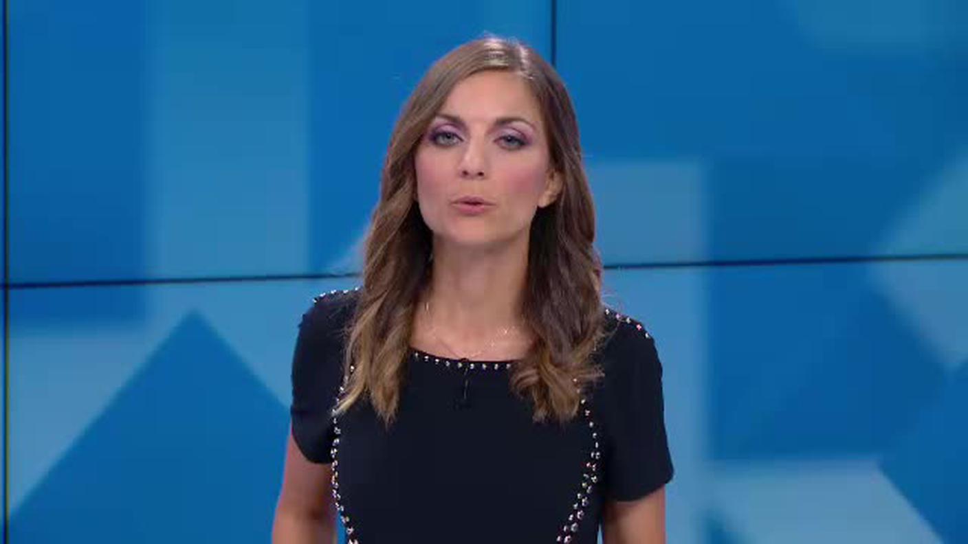 TELEGIORNALE  [La1] 2019-06-24 20:00:11