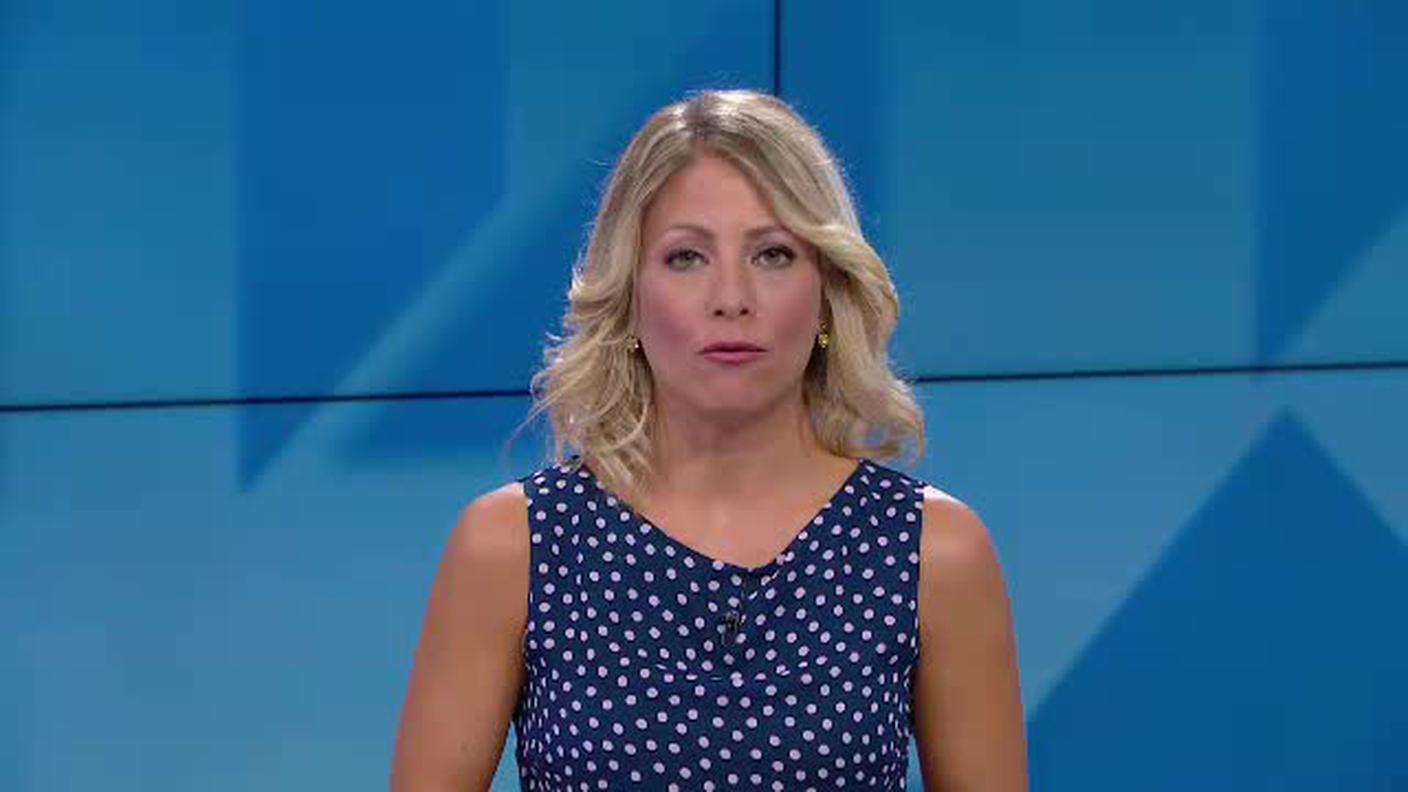 TELEGIORNALE  [La1] 2019-08-07 20:00:11