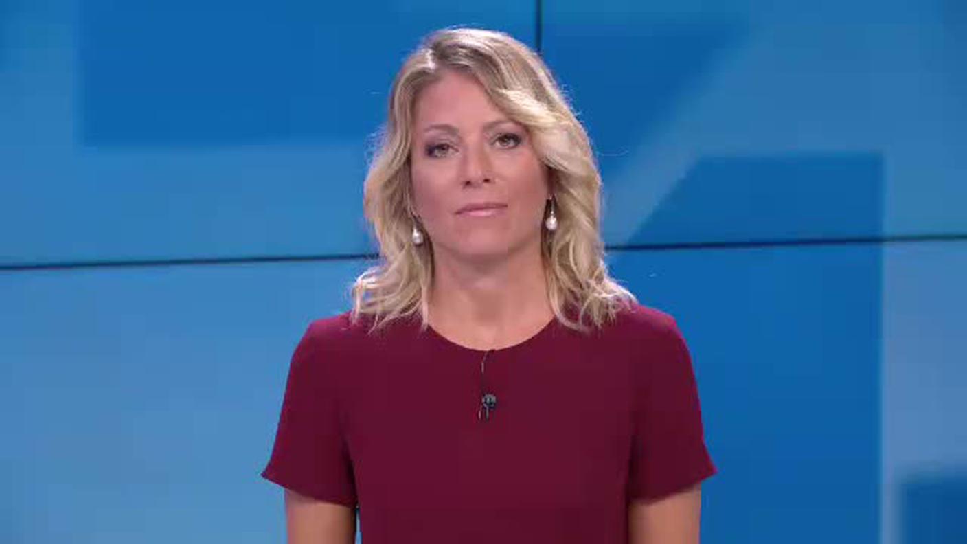 TELEGIORNALE  [La1] 2019-08-23 20:00:11