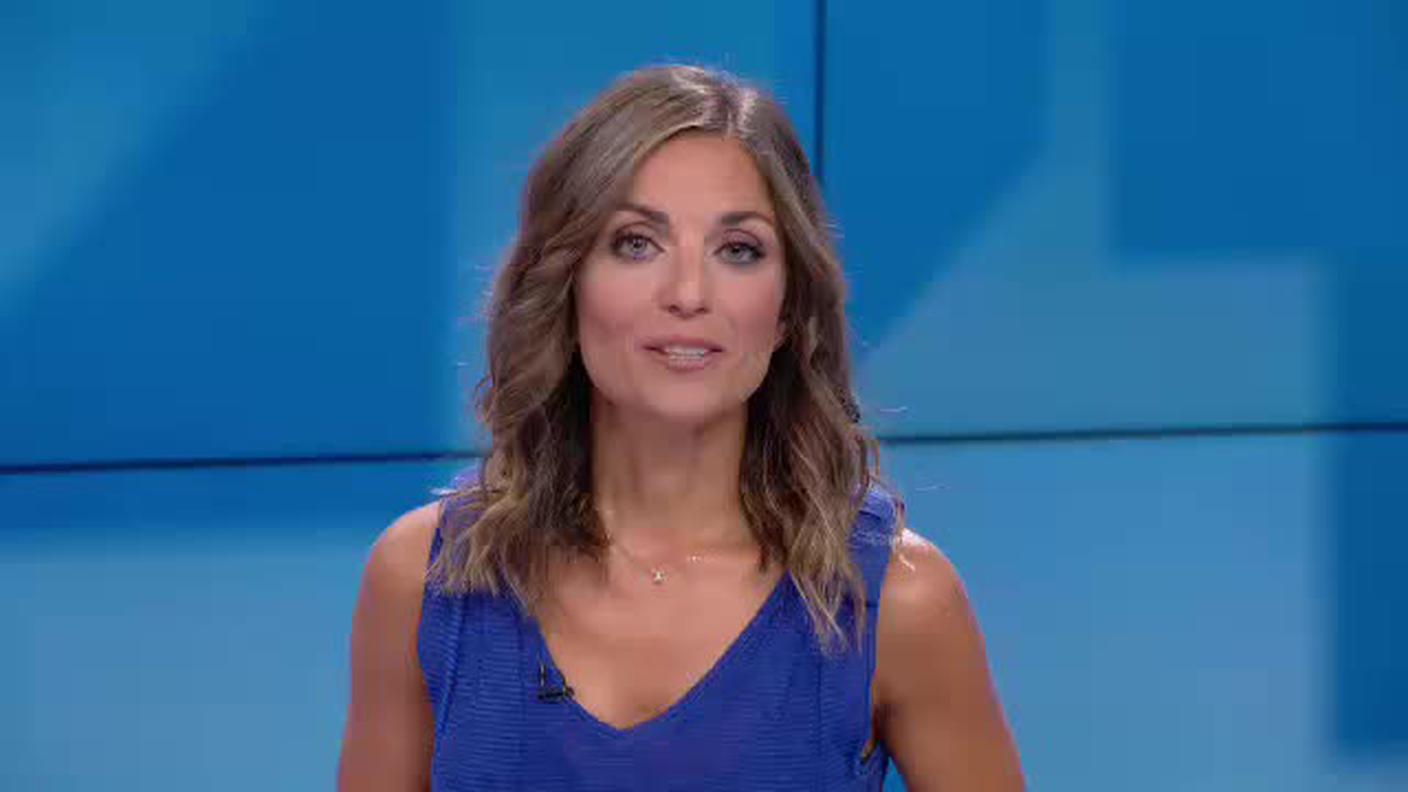 TELEGIORNALE  [La1] 2019-08-28 20:00:00